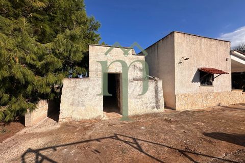 Landejendom i Carovigno, Brindisi, Carovigno - € 149.000 | Ref: Villa Guaceto - foto 13